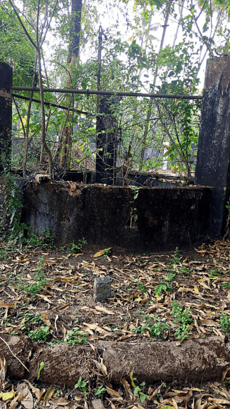 An old, moss-covered stone open well surrounded by dry leaves and dense foliage on the property.